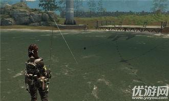 和平营地爆料合集视频,爆料合集视频深度解析